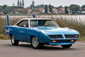 Blue plymouth superbird