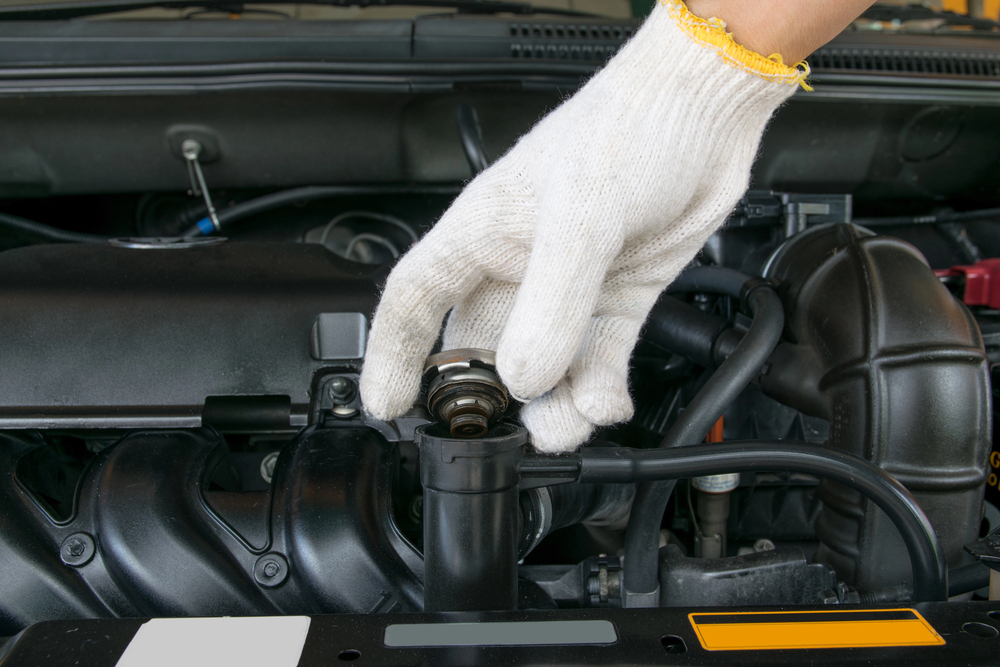 fluid check and replacements on car