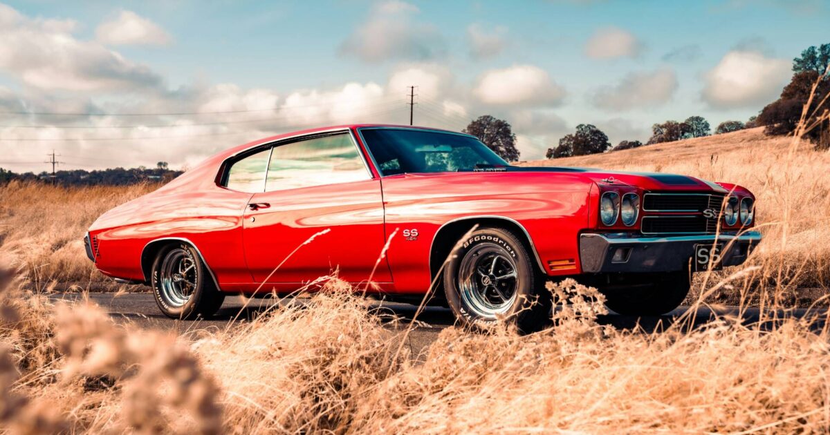 dodge challenger andother muscle cars