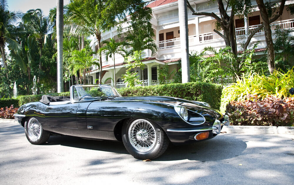 new or used jaguar