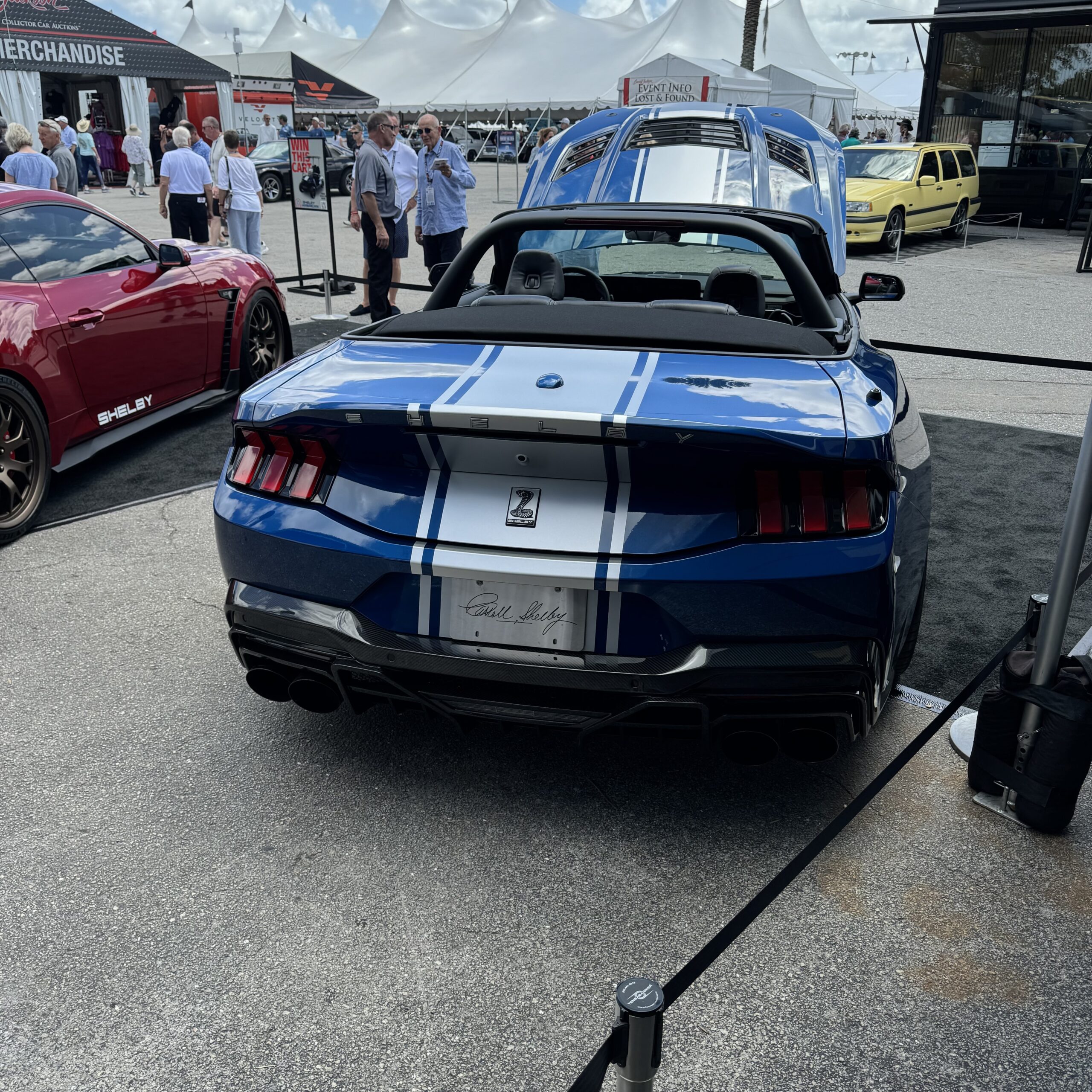shelby super snake