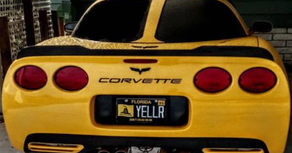 YELLR_1 KY Colonel
